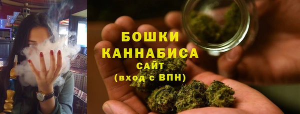 ешки Каменногорск