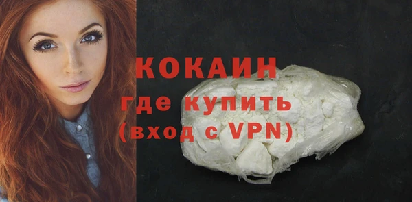 прущие грибы Каменка