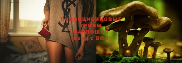 ешки Каменногорск