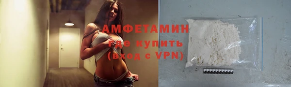 прущие грибы Каменка