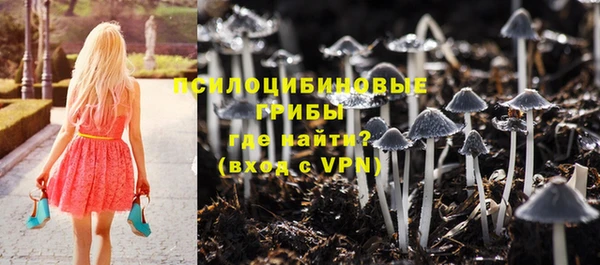 ешки Каменногорск