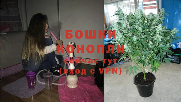 ешки Каменногорск