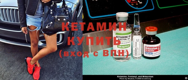 прущие грибы Каменка