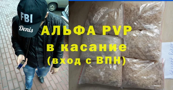 прущие грибы Каменка