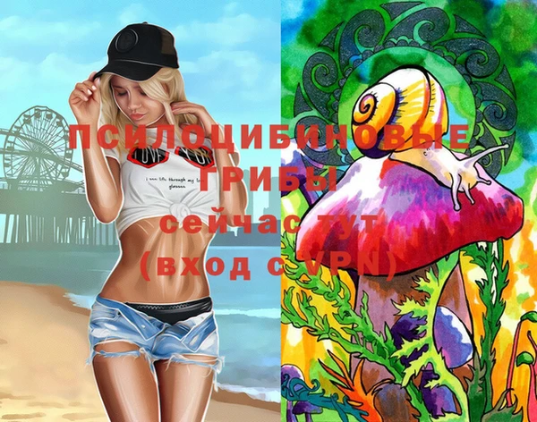прущие грибы Каменка