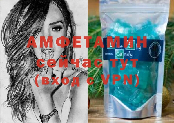 прущие грибы Каменка