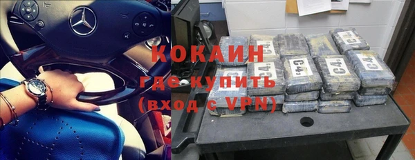 прущие грибы Каменка
