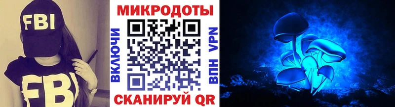 Купить  Искитим  Галлюциногенные грибы прущие грибы 